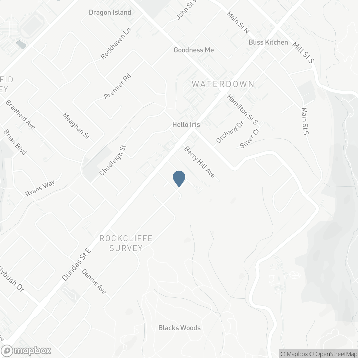 46 SUNNYCROFT COURT W, Hamilton, Ontario L0R 2H4